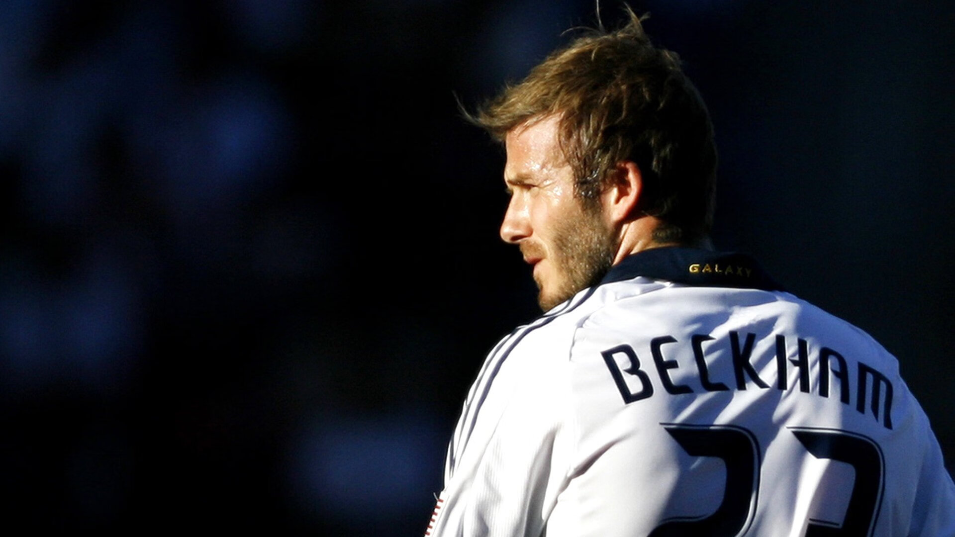 数字化转型提升观赛体验,数字化转型讨论会