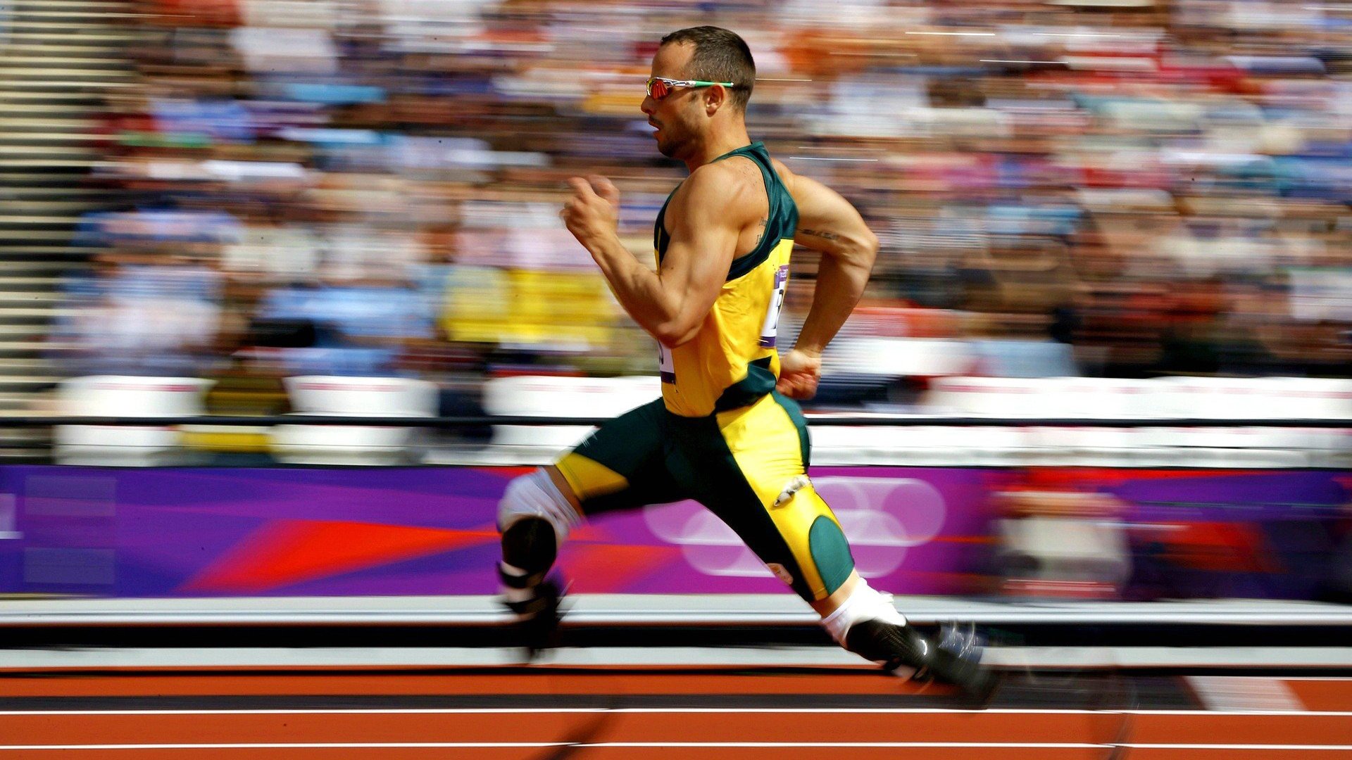 《最具人气战队战绩盘点：他们的荣耀时刻》，战队荣耀历程